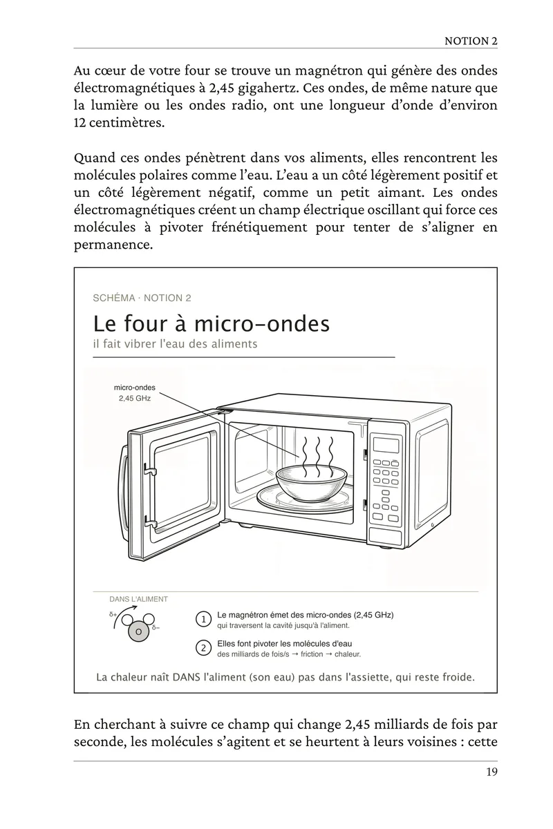 42 Notions pour Enfin Comprendre la Science du Quotidien — Aperçu